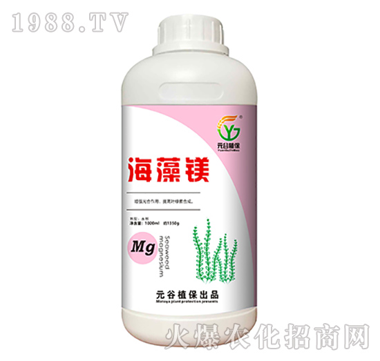 �����V-Ԫ��ֲ��