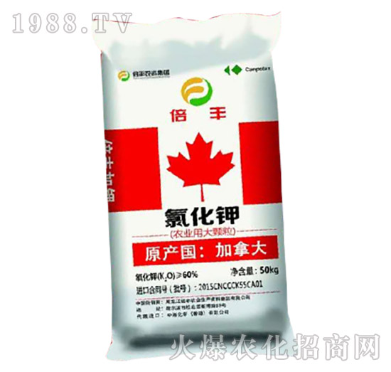 �r(n��ng)�I(y��)�ô��w���Ȼ��-���S�}��