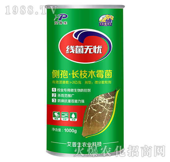 ��(c��)�ߡ��L(zh��ng)֦ľù��-�����o(w��)�n-������