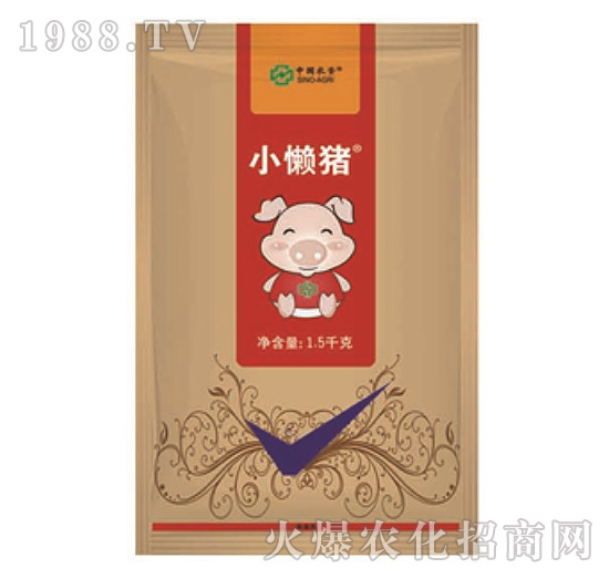 2%���x��-С���i-���r(n��ng)(li��n)��