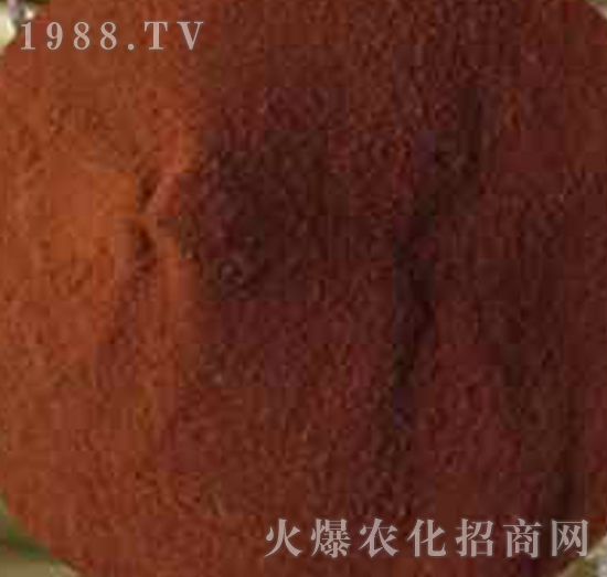 �����S�����-����