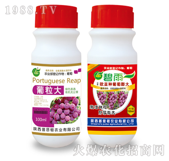 ��������-����-��˼�D�r(n��ng)�I(y��)