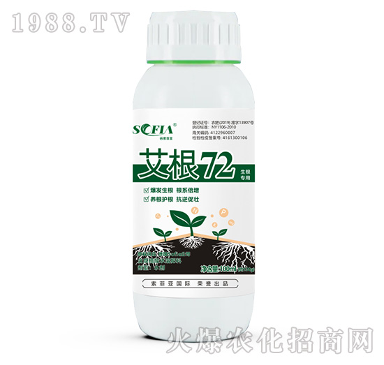 生根專(zhuān)用-艾根72-索菲亞