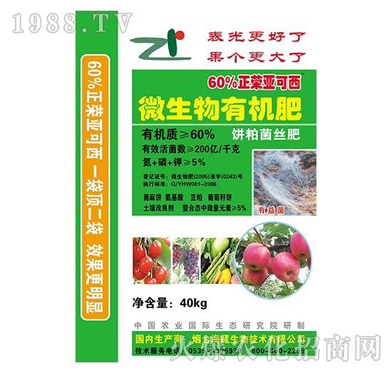 ΢�����-���s������-��������