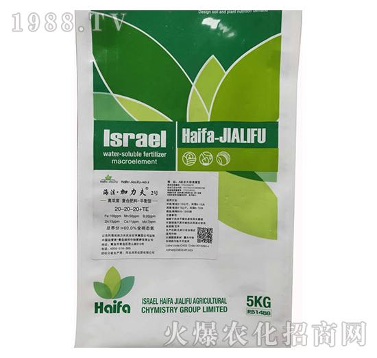 ƽ���͏�(f��)�Ϸ���20-20-20+TE-����������2̖(h��o)-����������