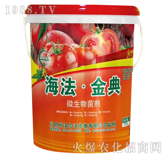 ΢�������-���������-�֠���