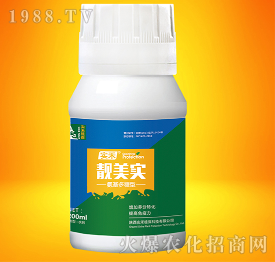 �n����-����