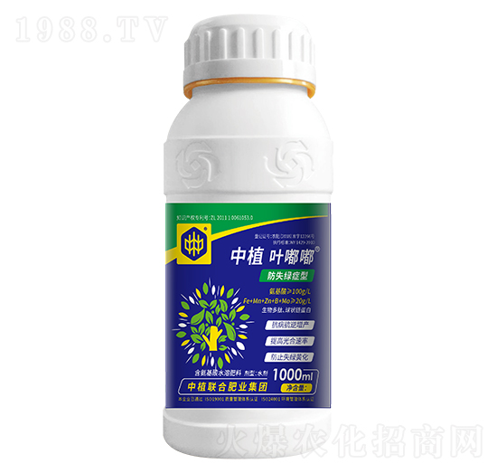 防失綠癥型中植葉嘟嘟-中植聯合