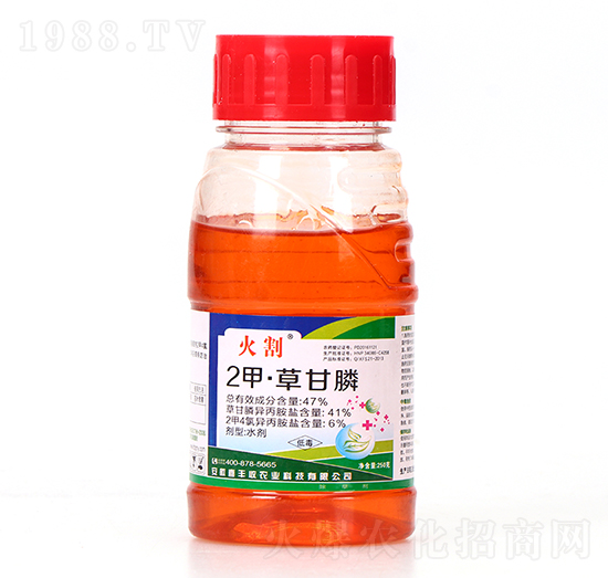 47%2�ס��ݸ��-���-ϲ�S��