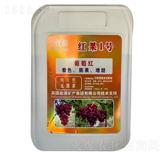 �t��1̖(h��o)-��(y��u)��-�µ����