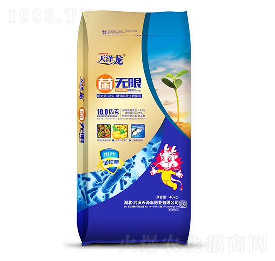 ΢�������-���o��-�����