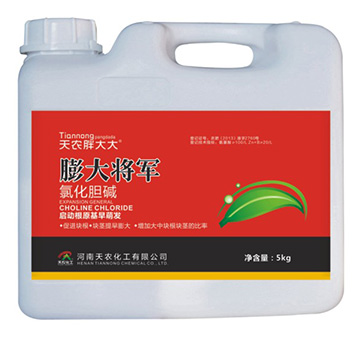 ���܊-���r(n��ng)�ִ��-���r(n��ng)����