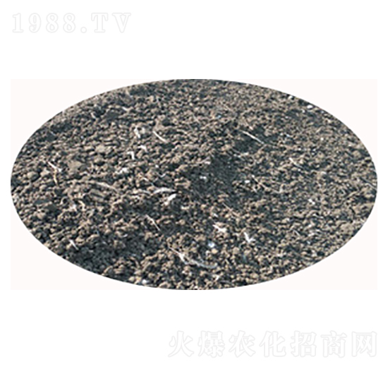 烘干雞糞-必豐生物