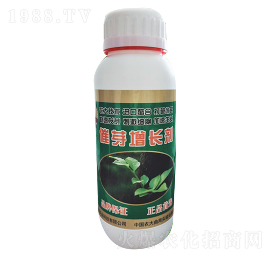 ��ѿ���L(zh��ng)��-����-�r(n��ng)�־G