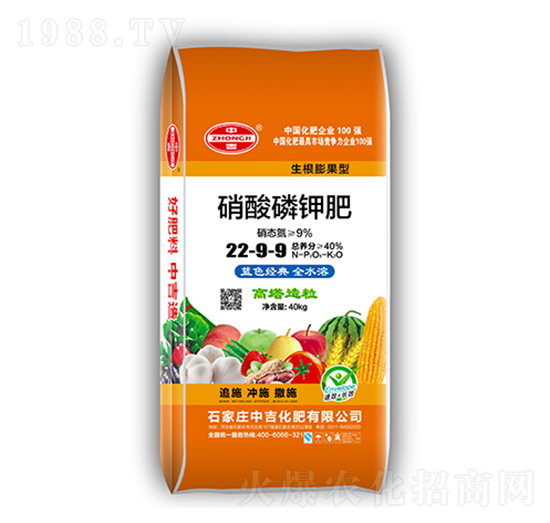 ������⛷�22-9-9-�м�����