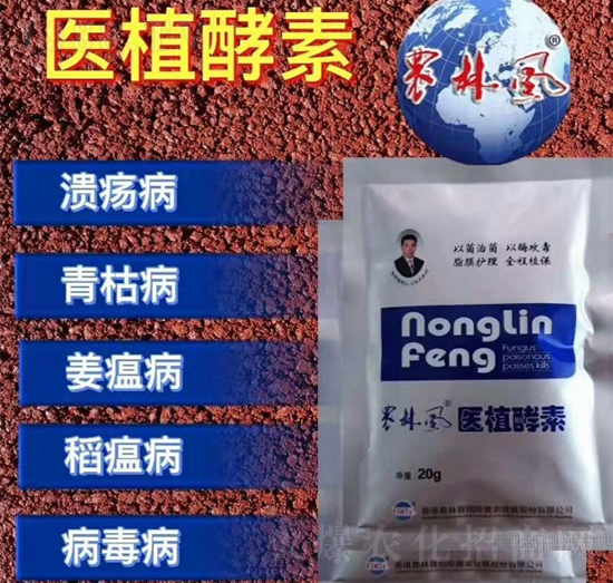 醫(yī)植酵素-農(nóng)林風-金維典