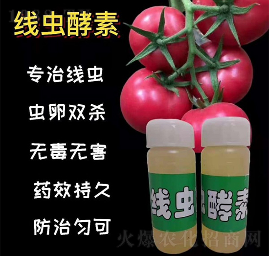 線蟲酵素-農(nóng)林風(fēng)-金維典