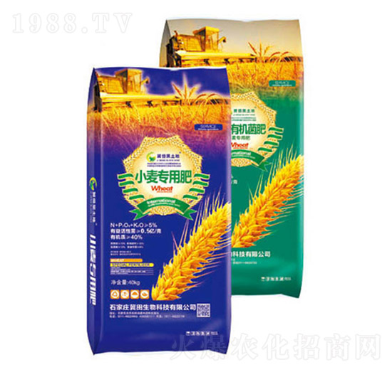 С�����÷�-��������