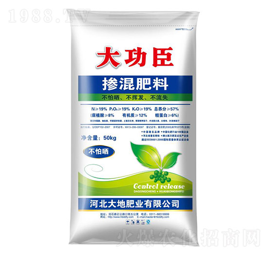 �������19-19-19-�󹦳�-��طʘI(y��)