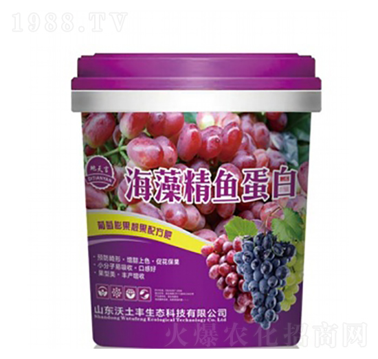 ���徫�~(y��)����-������-�����S