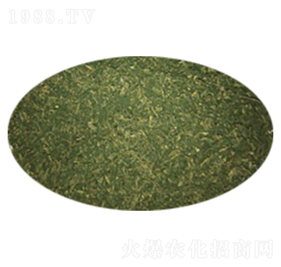 綠色木霉菌-博興天竹