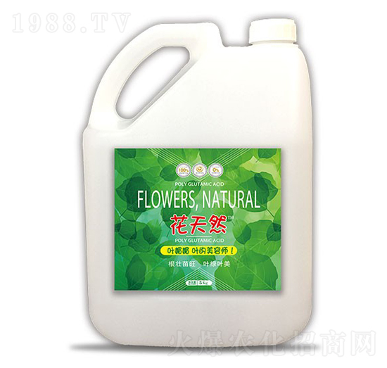 5kg花天然葉媚媚-和天然