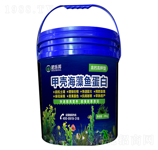 �ך������~����-�ʘ���-�׶���