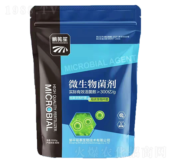 ΢�������-�i����-�̩����