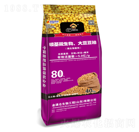 ̼��΢����󶹶���-��M�}