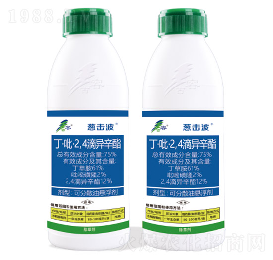 75%��������2��4���ή���֬-�[����-����