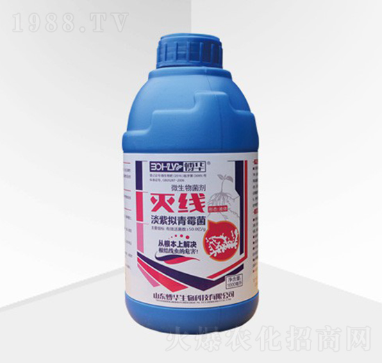 ΢�������-�羀-���A����