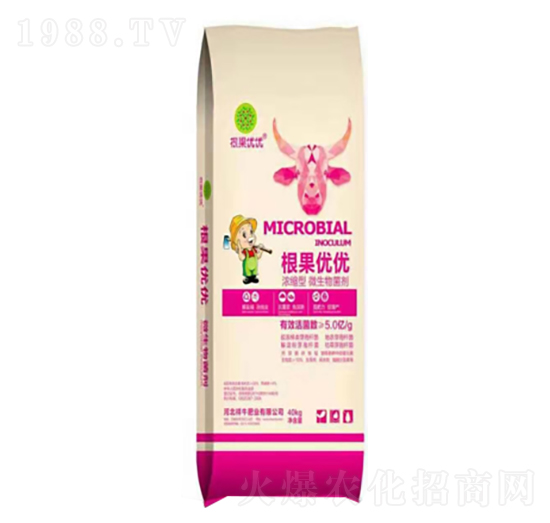 ��S����-������(y��u)��(y��u)-��ţ�ʘI(y��)