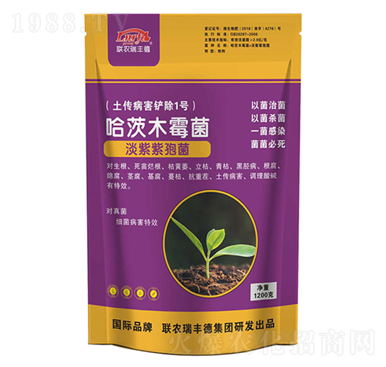 ����ľù��-���S��