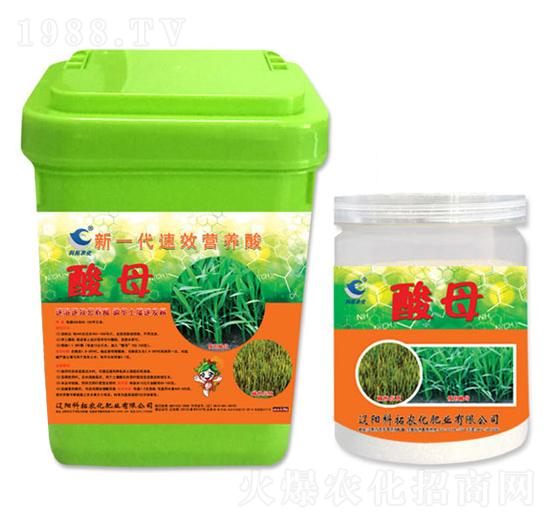 ��һ����Ч�I�B(y��ng)��-��ĸ-�����r��