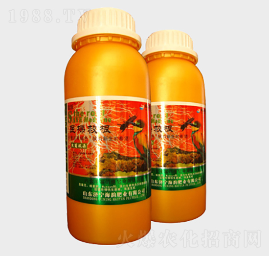 �t(y��)�þȸ��~���-��퍷ʘI(y��)