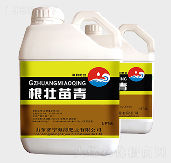 ���������_ʩ��-��퍷ʘI(y��)