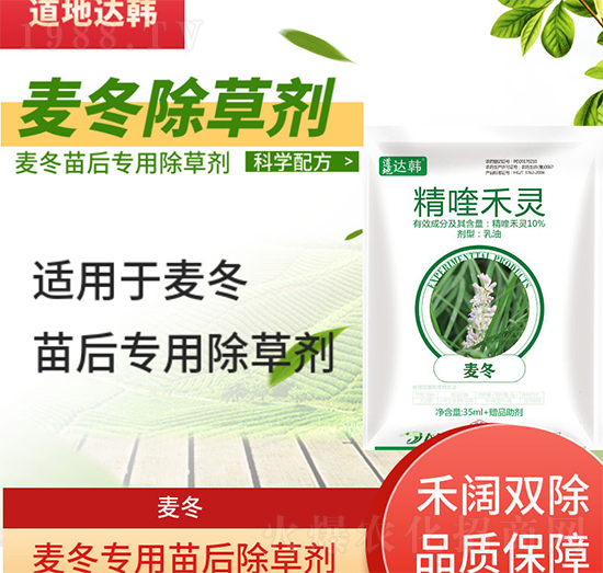麥冬除草劑-麥冬苗后-麥冬專用-大韓