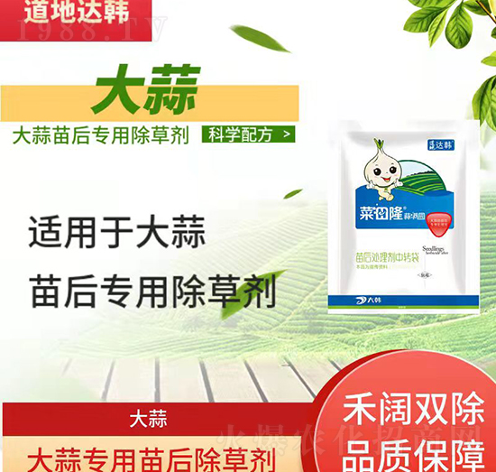 大蒜除草劑-大蒜苗后-大蒜專(zhuān)用-菜田隆蒜滿園-大韓