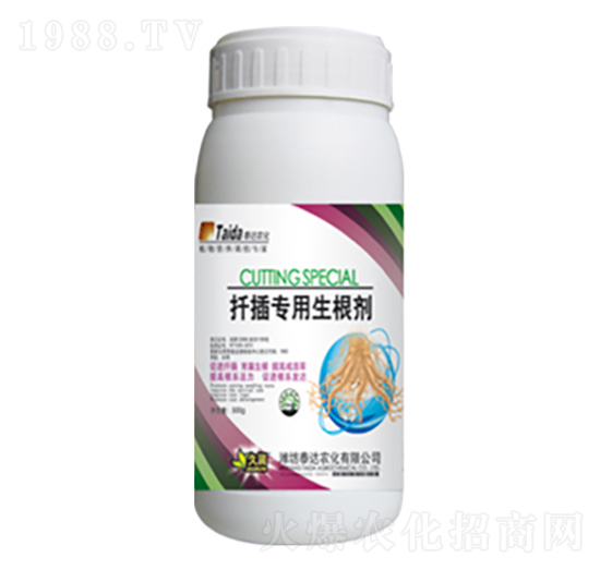 Ǥ�匣��������-̩�_(d��)�r(n��ng)��