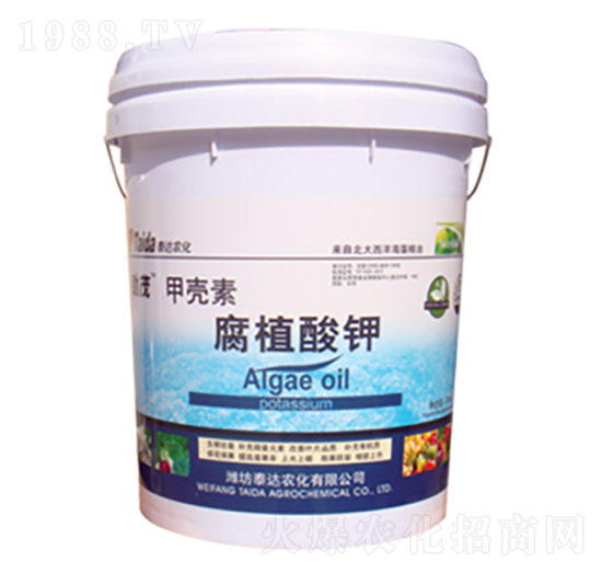 �ך��ظ�ֲ���-̩�_�r��