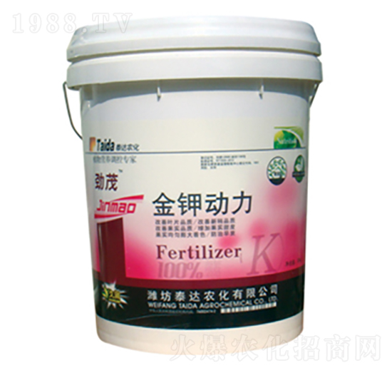 ��⛄���-̩�_�r��