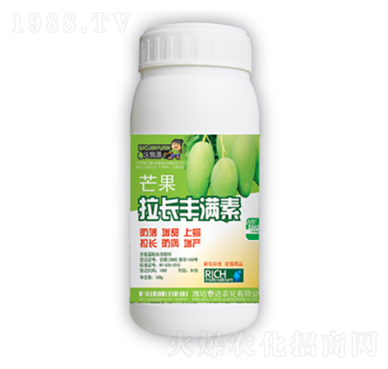 â�����L�S�M��-̩�_�r��