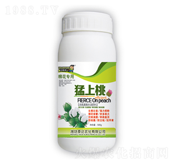 ������-̩�_�r��