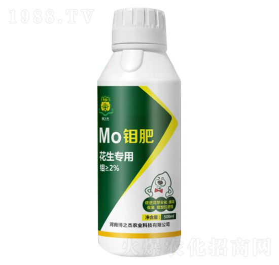 ���������f��-�S�՘�(l��)