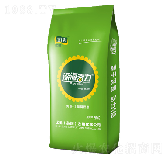 �����-����1��-���r(n��ng)(li��n)��