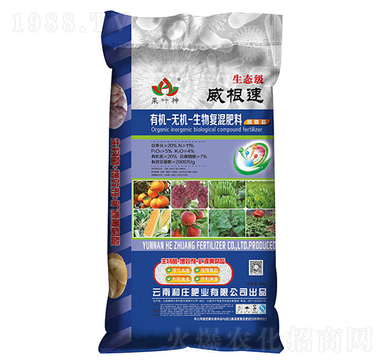 �ЙC�o�C�����(f��)�����11-5-4-���f�ʘI(y��)