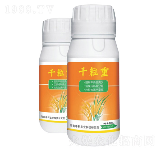 千粒重-中科農業(yè)