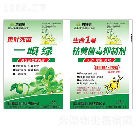 黃葉死苗一噴綠+生命1號(hào)枯黃菌毒抑制劑-巧管家-潤澤
