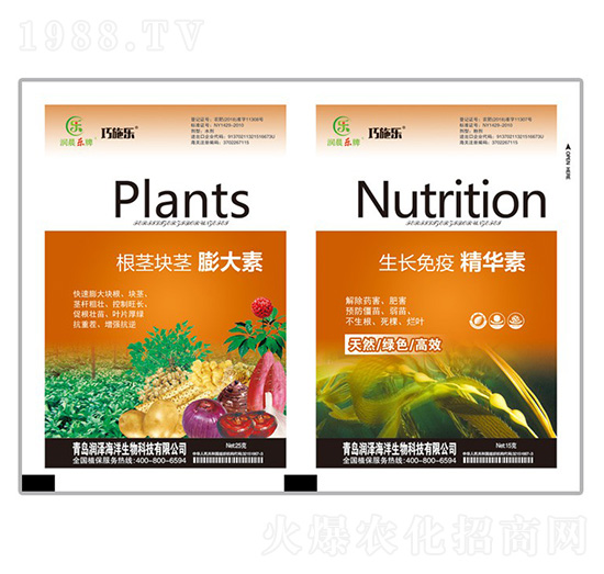 ���o�K�o�����+���L���߾��A��-ؐ������