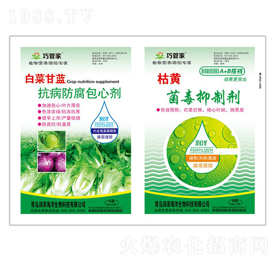 白菜甘藍(lán)抗病防腐包心劑+枯黃菌毒抑制劑-貝能生物